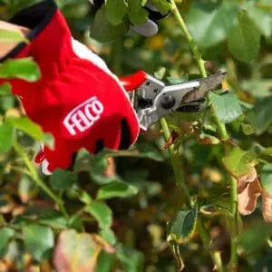 Цветарски ножици FELCO 100 – удобни за голяма длан, с функция задържане на стеблото